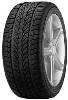 245/65 R17 107H ROCKSTONE ECOSNOW MS zimska pnevmatika (guma)