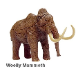 4D mamut