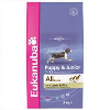 Eukanuba Puppy & Junior Medium breed, jagnjetina in riž, 15kg