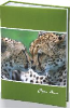 Foto album Creative Animals, 300 slik, lepljen, leopard