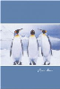 Foto album Creative Animals, 300 slik, lepljen, pingvini