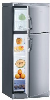 Gorenje RF6275E Kombinirani hladilnik/zamrzovalnik (695798)