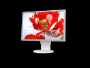 LCD monitor NEC MULTISYNC EA261WM, Bel
