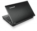 LENOVO prenosnik IdeaPad S10-3 (59-043813)