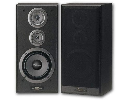 Par zvočnikov Pioneer CS-3070