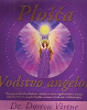 Plošča Vodstvo angelov