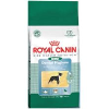 Royal Canin Mini Dental Hygiene, za pse, 500 g