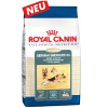 Royal Canin SHN Nemški ovčar 24 Adult, za pse, 3 kg