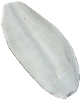 Sipina kost Hobby vit velika cca. 16 cm (21300110)
