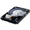 Trdi disk SAMSUNG 1TB SATA2, 32/5400 -ECO Green- (HD103SI)