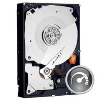 Trdi disk WD 3,5 500GB SATA3, 32/7200 -Black- (WD5002AALX)